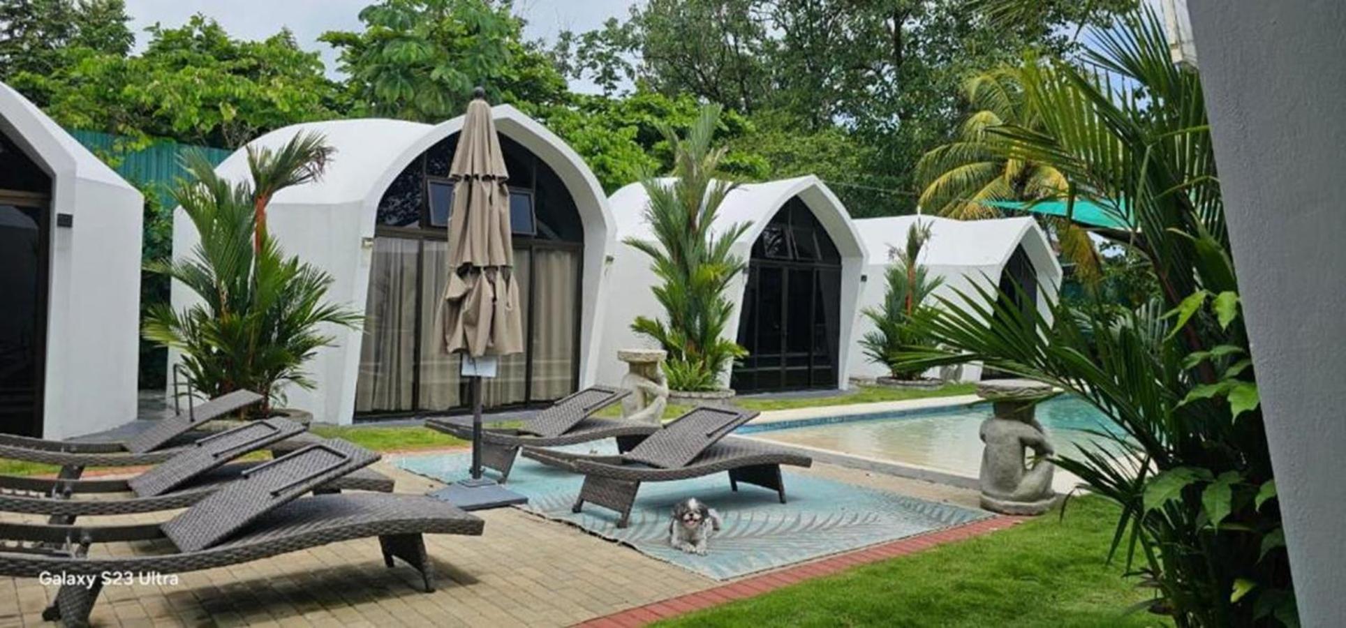 Alborada Boutique Stay أوفيتا المظهر الخارجي الصورة
